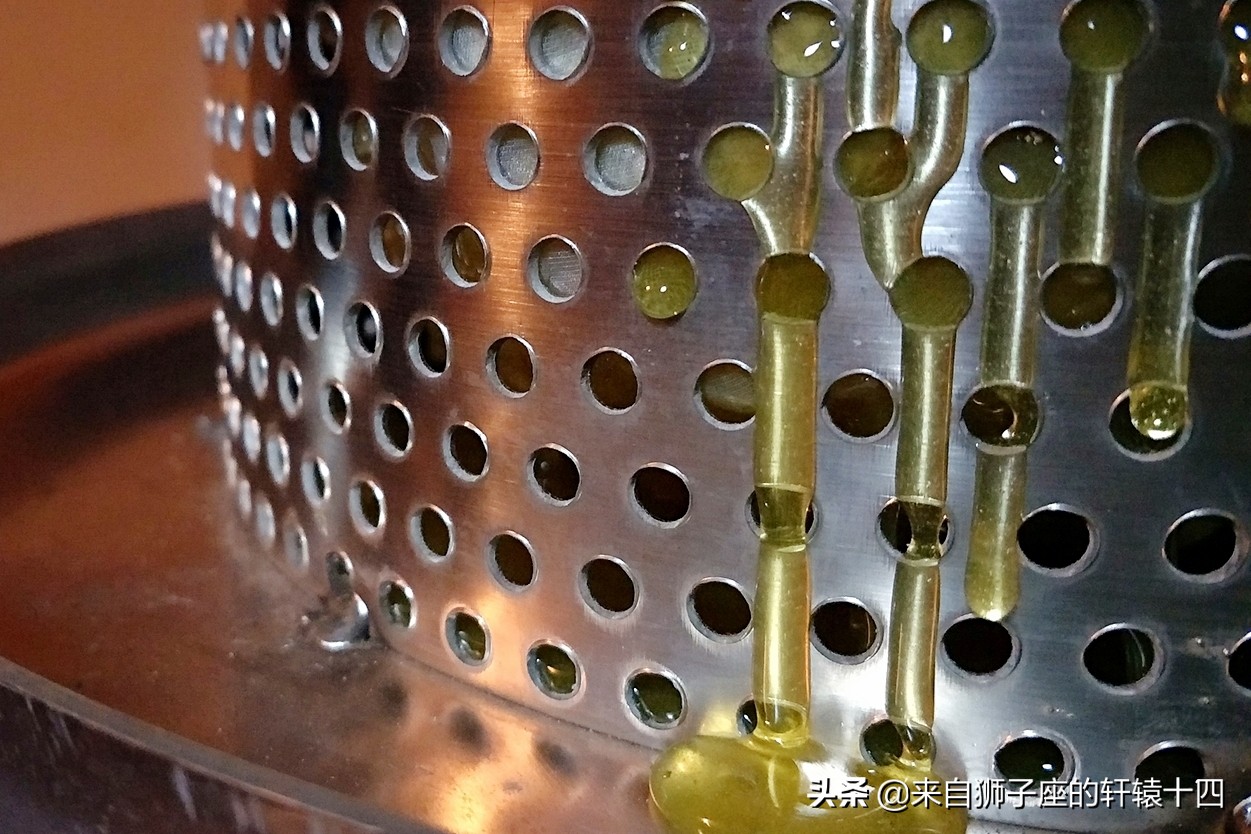 探尋養(yǎng)蜂人，取蜂蜜要用煙熏