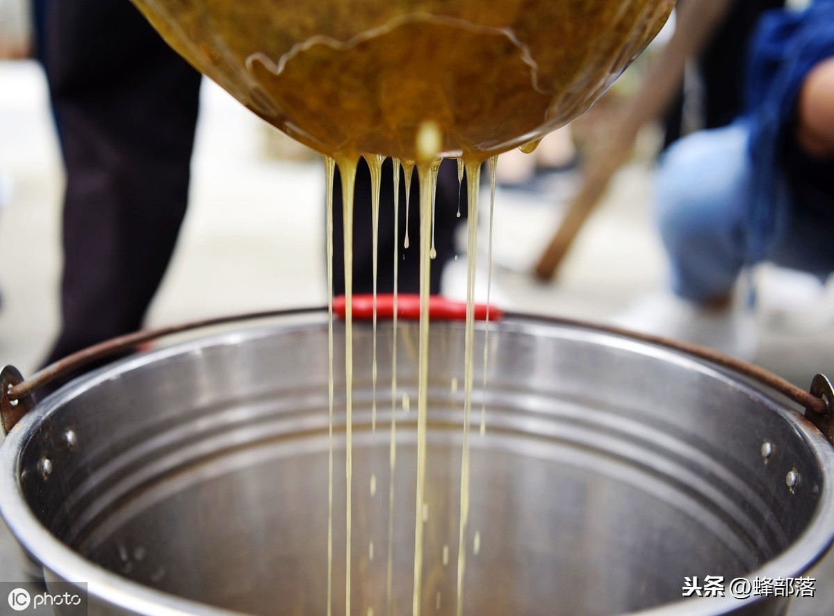 蜜蜂養殖，養殖場蜜蜂多，如何取蜜好？老蜂農：3個配合取蜜更好