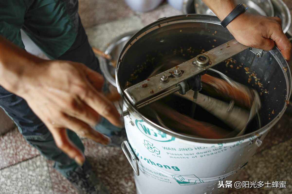 你試過刮脾取蜜嗎？它真的優于搖蜜機取蜜嗎？