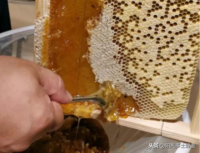 你試過刮脾取蜜嗎？它真的優于搖蜜機取蜜嗎？