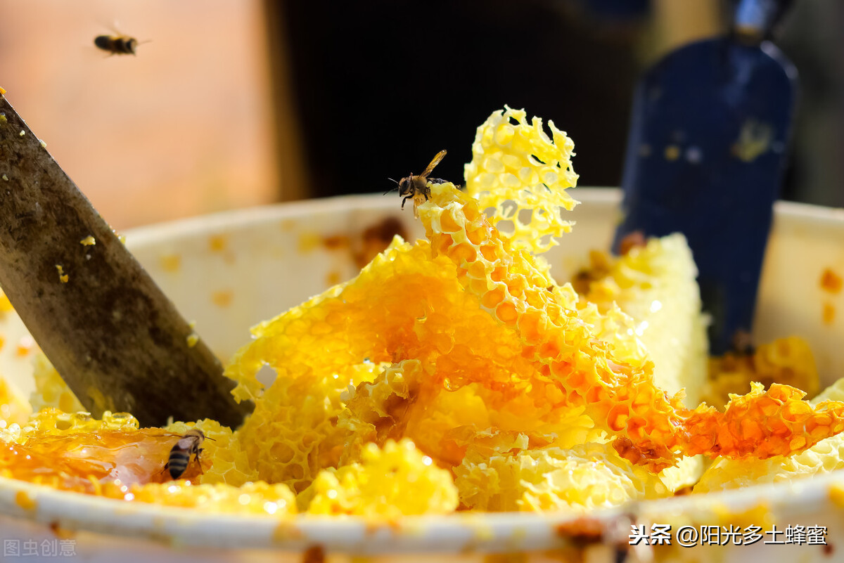 你試過刮脾取蜜嗎？它真的優于搖蜜機取蜜嗎？