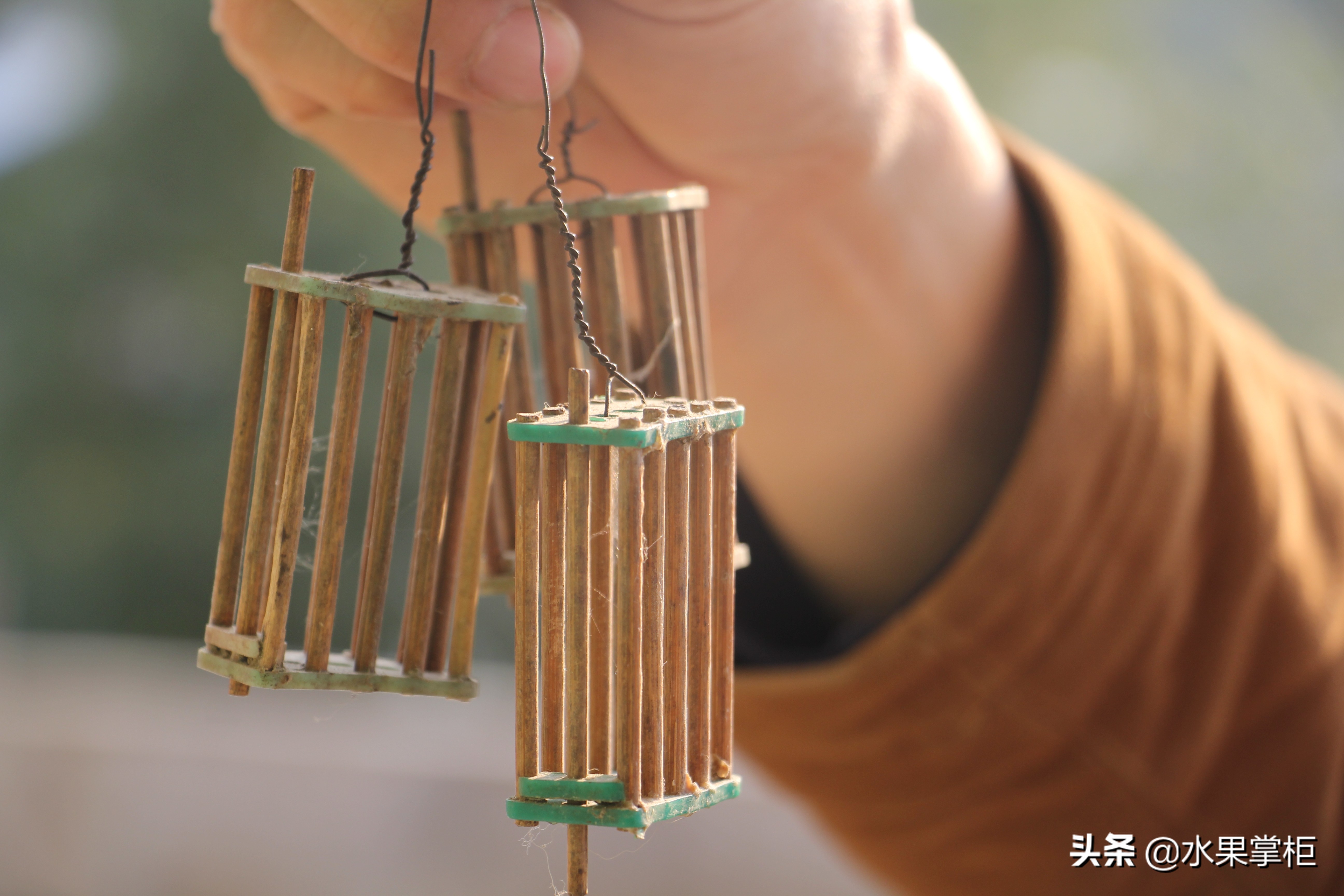 漲知識：農家養土蜂蜜的工具，你認識幾個？留言回復，連載哦