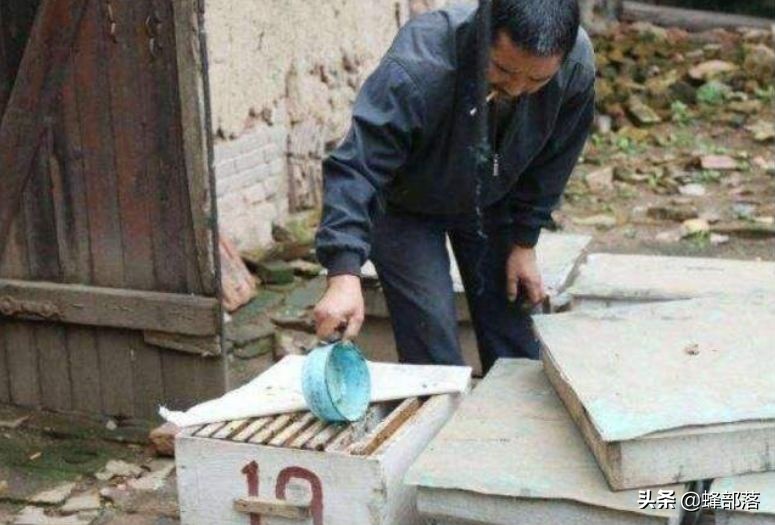 蜜蜂的平均壽命只有30天，為何冬天沒有沒花開不會團(tuán)滅？