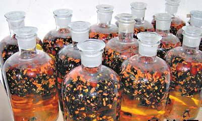 胡蜂酒的功效與作用（胡蜂酒有哪幾種功效）