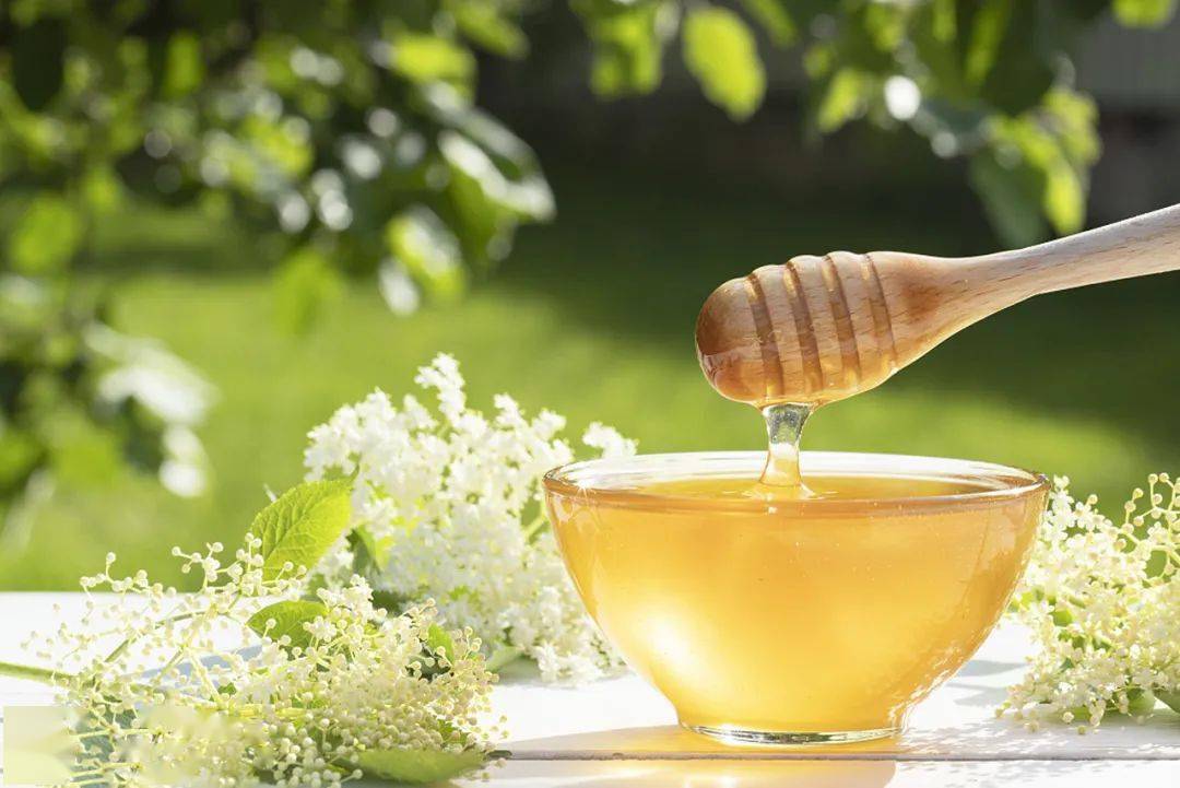 在農村養蜜蜂要花多少錢（農村養蜂成本）