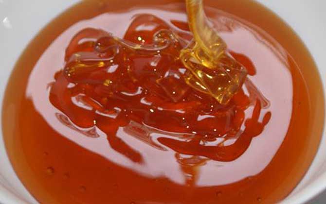 五倍子蜜的蜜源植物（五倍子蜜的產地分布）