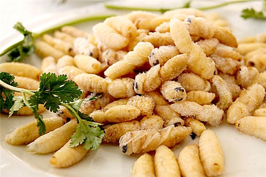 蜂蛹的營(yíng)養(yǎng)價(jià)值和功效及禁忌（蜂蛹什么地方都可以吃嗎）