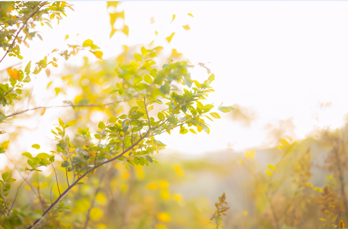 越是無人懂你，越要愛自己（沒有人會(huì)永遠(yuǎn)愛你，除了你自己）