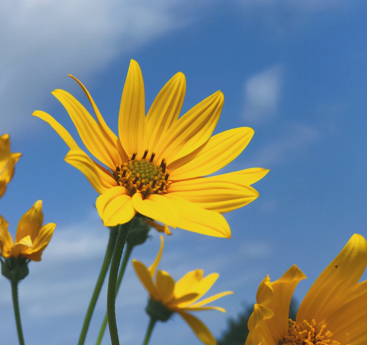 越是無人懂你，越要愛自己（沒有人會(huì)永遠(yuǎn)愛你，除了你自己）
