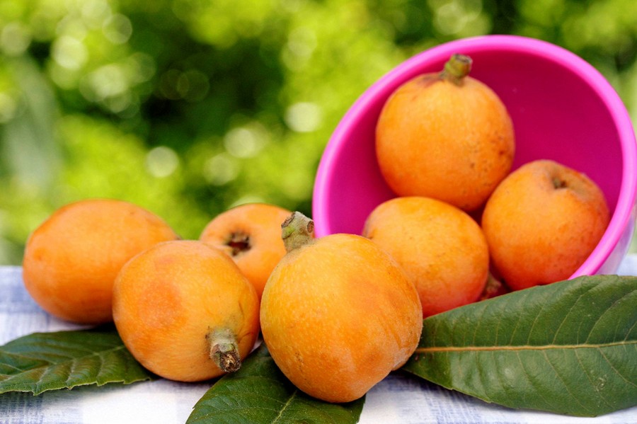 枇杷蜜低溫結(jié)晶嗎（枇杷蜜會(huì)不會(huì)結(jié)晶）