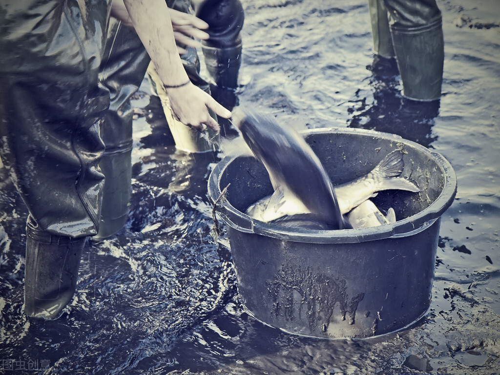 釣魚人常遇到的5件“怪事”，我相信你也遇到過，我遇到好幾次