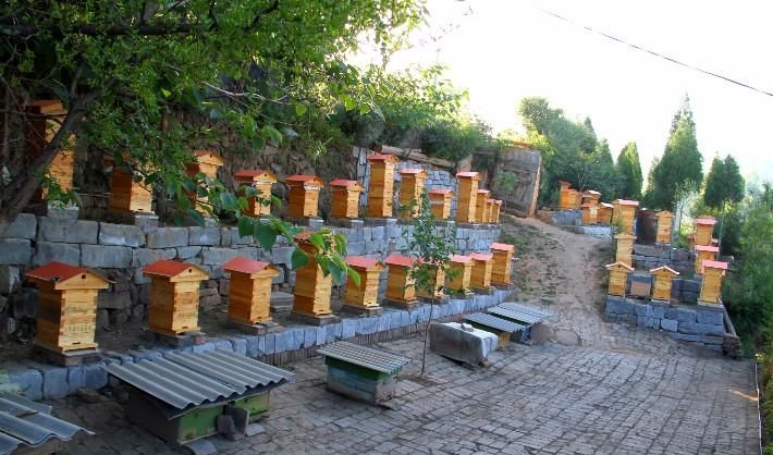 在農(nóng)村養(yǎng)殖蜜蜂賺錢嗎？