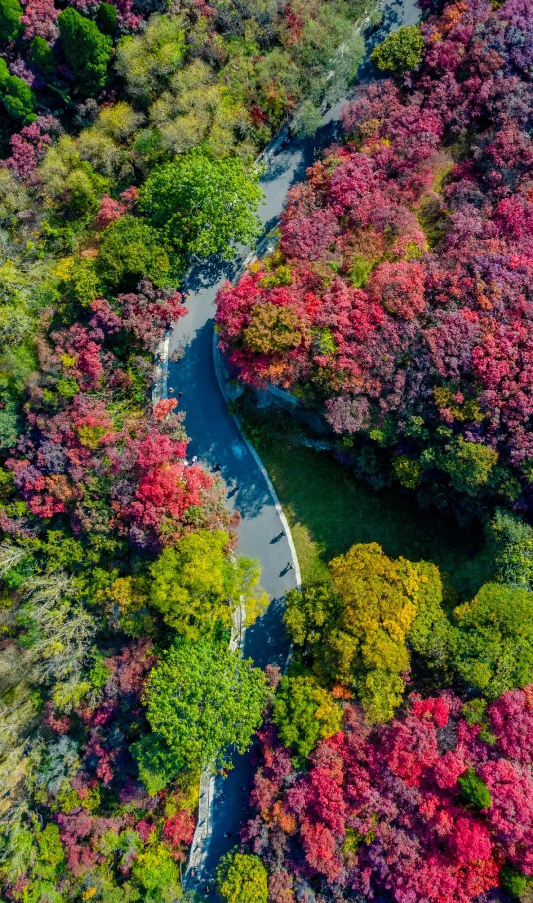 有篝火、有星空！山東私藏的這些自駕露營(yíng)地景美人少，現(xiàn)在就出發(fā)！