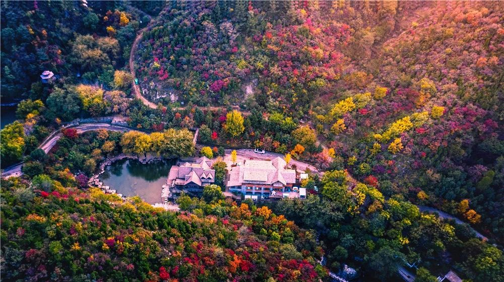 有篝火、有星空！山東私藏的這些自駕露營(yíng)地景美人少，現(xiàn)在就出發(fā)！