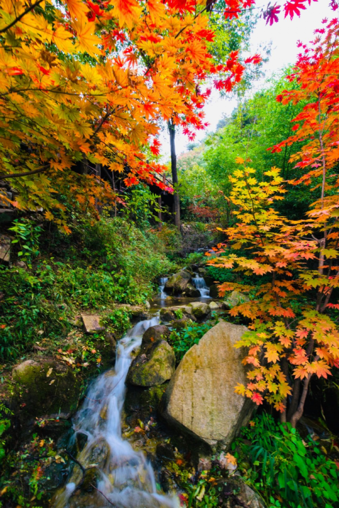 有篝火、有星空！山東私藏的這些自駕露營(yíng)地景美人少，現(xiàn)在就出發(fā)！
