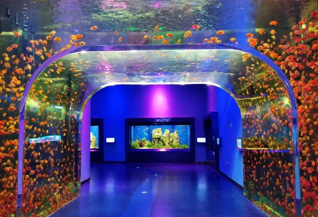 有篝火、有星空！山東私藏的這些自駕露營(yíng)地景美人少，現(xiàn)在就出發(fā)！