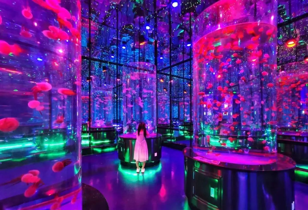 有篝火、有星空！山東私藏的這些自駕露營(yíng)地景美人少，現(xiàn)在就出發(fā)！