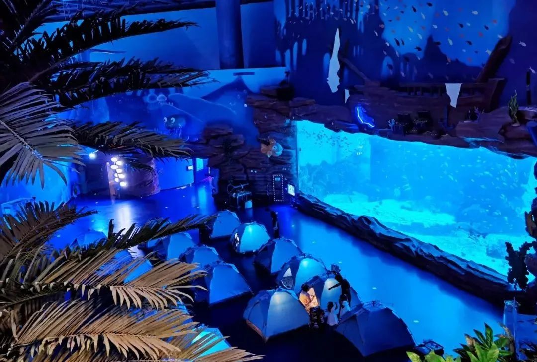 有篝火、有星空！山東私藏的這些自駕露營(yíng)地景美人少，現(xiàn)在就出發(fā)！