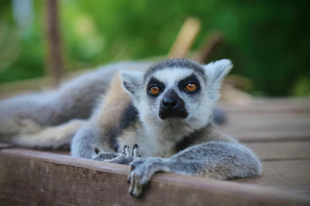 有篝火、有星空！山東私藏的這些自駕露營(yíng)地景美人少，現(xiàn)在就出發(fā)！