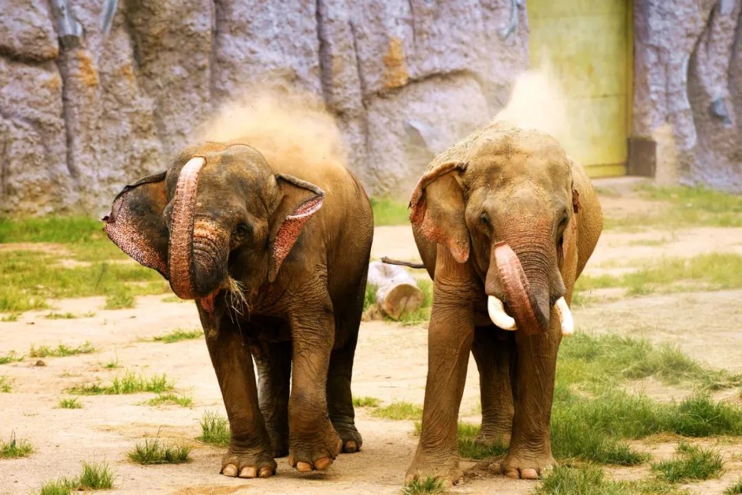 有篝火、有星空！山東私藏的這些自駕露營(yíng)地景美人少，現(xiàn)在就出發(fā)！