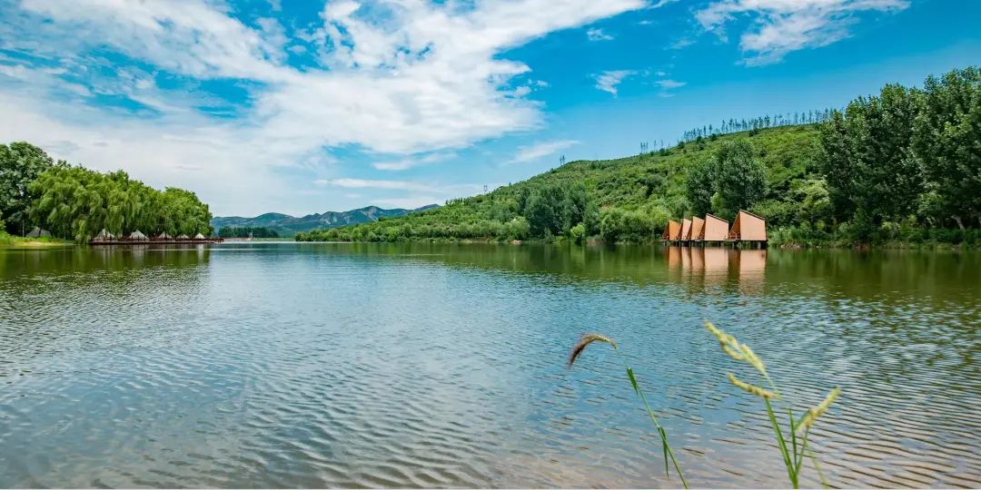 有篝火、有星空！山東私藏的這些自駕露營(yíng)地景美人少，現(xiàn)在就出發(fā)！