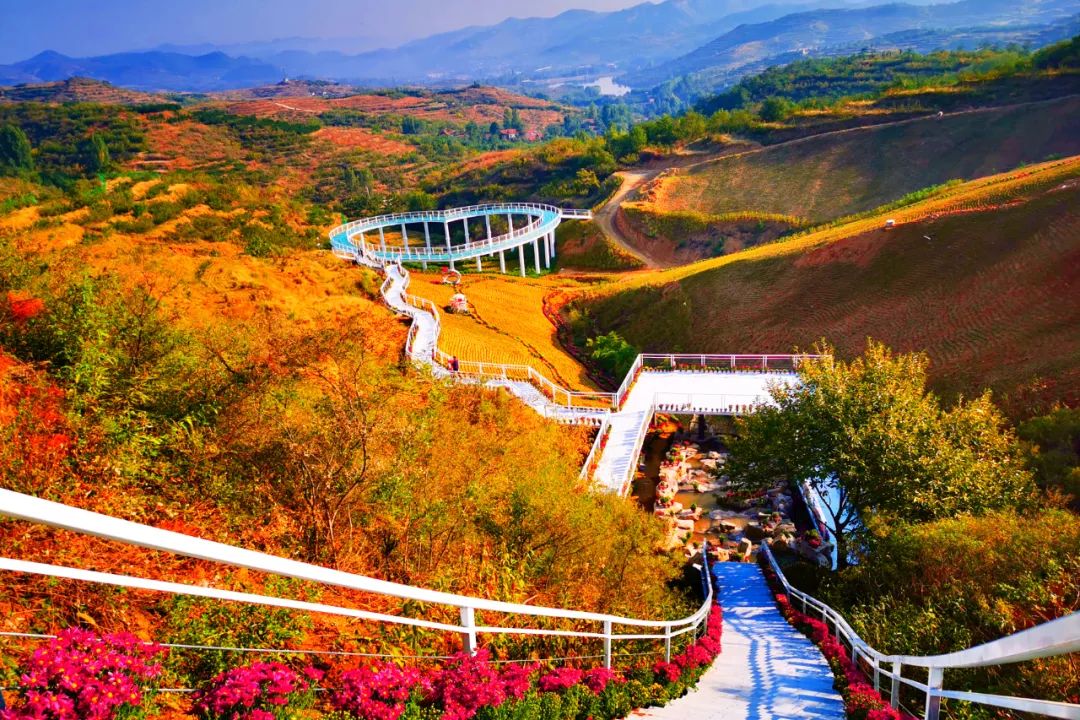 有篝火、有星空！山東私藏的這些自駕露營(yíng)地景美人少，現(xiàn)在就出發(fā)！