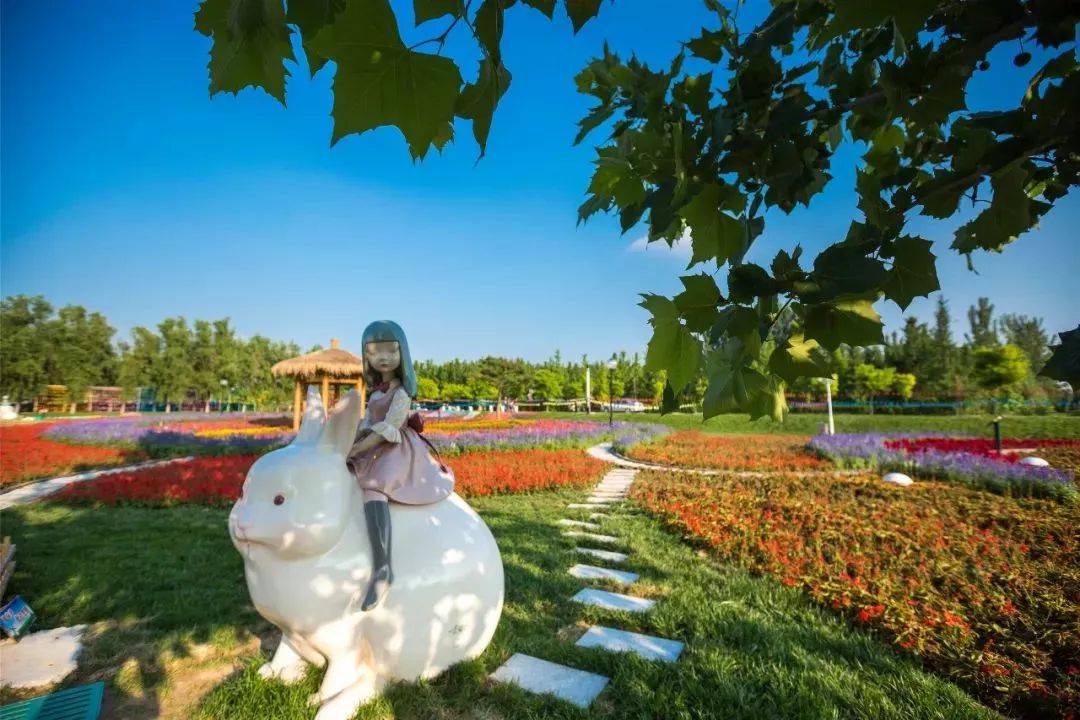 有篝火、有星空！山東私藏的這些自駕露營(yíng)地景美人少，現(xiàn)在就出發(fā)！