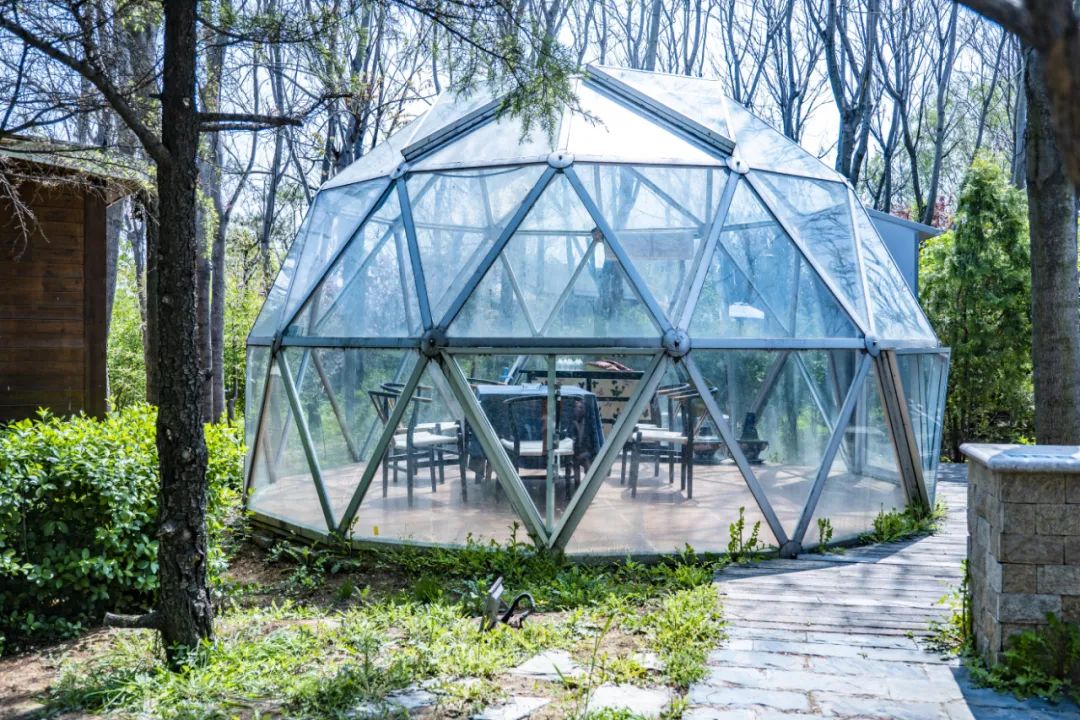 有篝火、有星空！山東私藏的這些自駕露營(yíng)地景美人少，現(xiàn)在就出發(fā)！