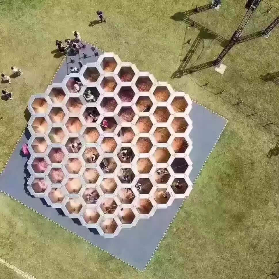 蜜蜂一天新出多少工蜂（一群蜜蜂一天有多少蜜蜂出巢）