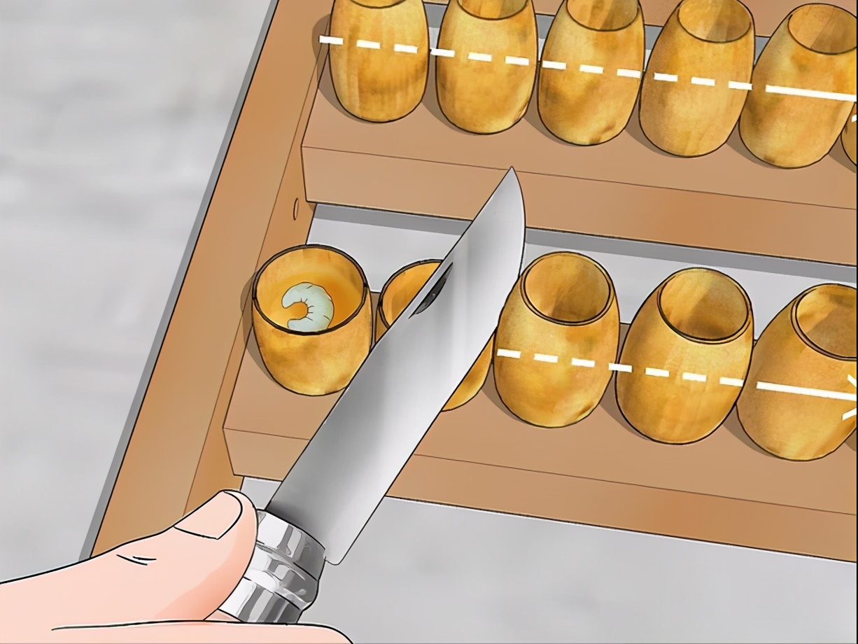 蜂王漿蜜蜂是怎么儲存起來的（蜂王漿的收獲和儲存過程）