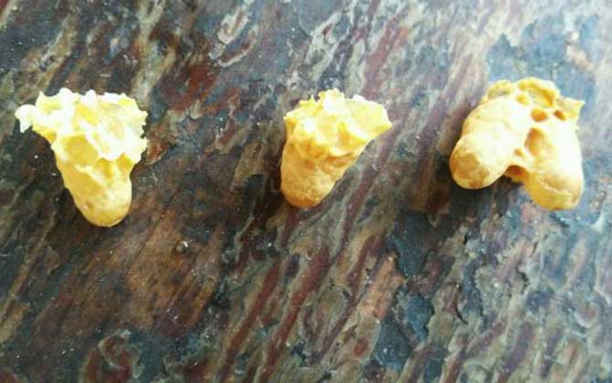 急造王臺(tái)幾天封蓋幾天出臺(tái)（王臺(tái)封蓋后幾天出新王）