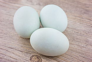 咸鴨蛋不能和什么一起吃（鴨蛋的營養(yǎng)價(jià)值和吃鴨蛋的禁忌）