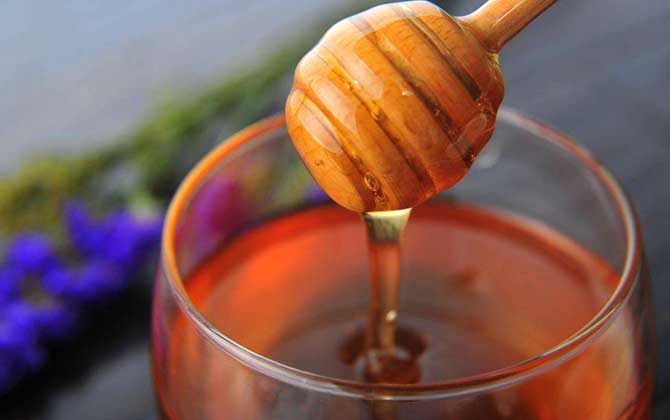 黑蜂蜂蜜的作用與功效及食用方法 黑蜂蜂蜜的作用與功效及食用方法