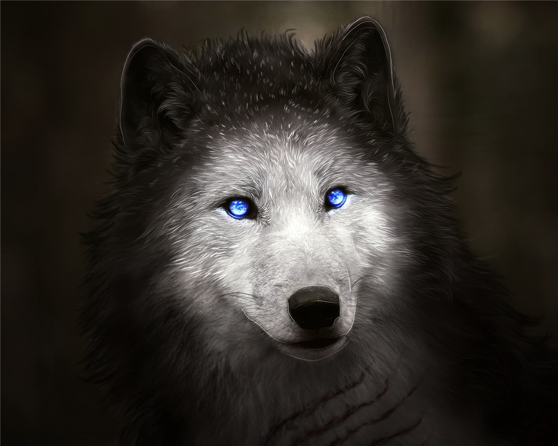 長白山多次出現(xiàn)“狽”，最早記載于西漢，奔跑時前腿搭在狼身上