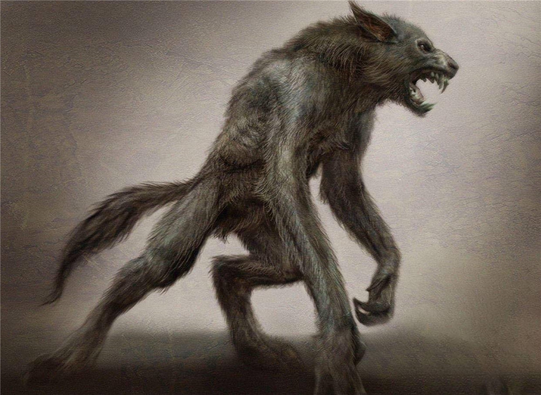 長白山多次出現(xiàn)“狽”，最早記載于西漢，奔跑時前腿搭在狼身上