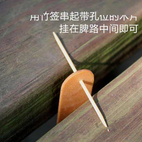 巢蟲(chóng)清木片怎么樣放置（巢蟲(chóng)清木片的制作方法）