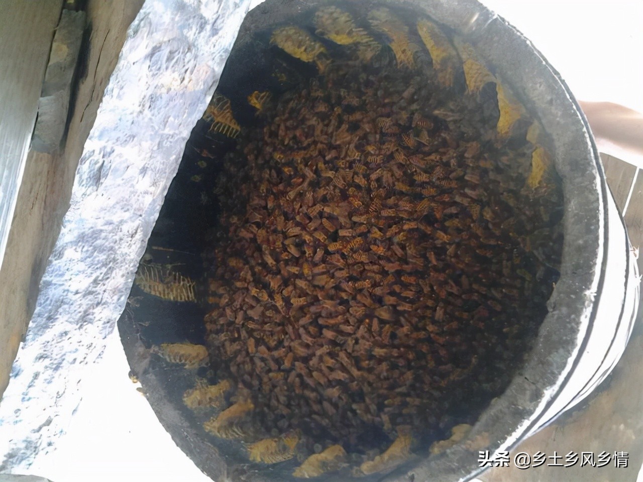 誘蜂技巧和方法（快速簡單又高效的誘蜂技術和方法）