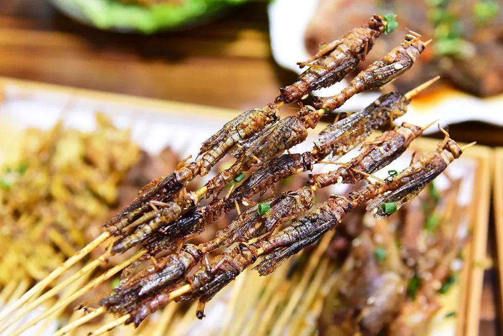 20萬(wàn)只粉紅椋鳥(niǎo)馳援新疆滅蝗，護(hù)40萬(wàn)畝草場(chǎng)！蝗災(zāi)到底有多可怕？