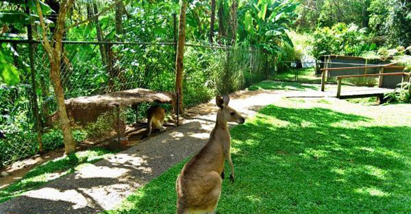 如何判斷蜜源地的優劣（蜜源地好壞的判斷標準）