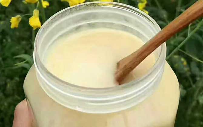 一百畝油菜花產(chǎn)多少蜜（油菜花蜜的特點(diǎn)）