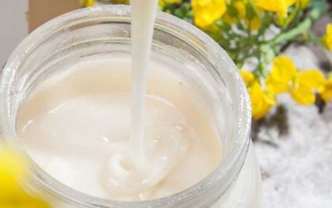 一百畝油菜花產(chǎn)多少蜜（油菜花蜜的特點(diǎn)）