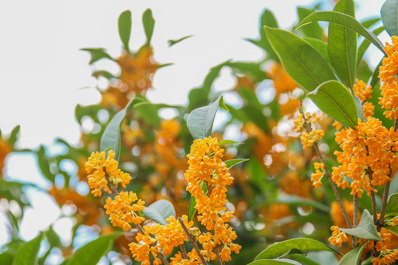 35℃！南方“重回盛夏”，高溫何時(shí)結(jié)束，為啥今年氣候如此反常？