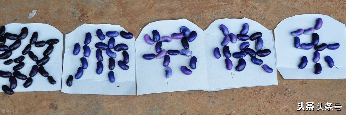 今天是教師節，你最想對老師說什么？