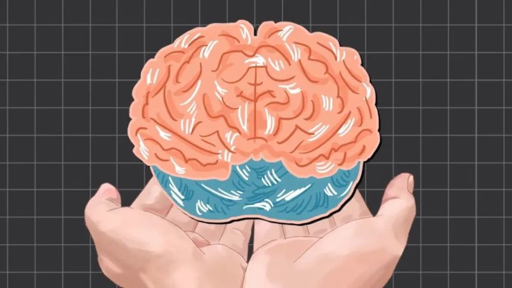 地球上最成功的植物，1萬(wàn)年前操縱智人，占地面積將近10個(gè)英國(guó)