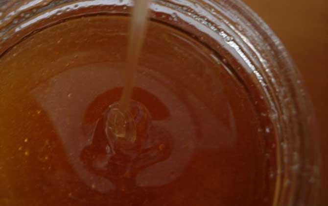 枸杞蜂蜜價格（枸杞蜂蜜的營養價值）