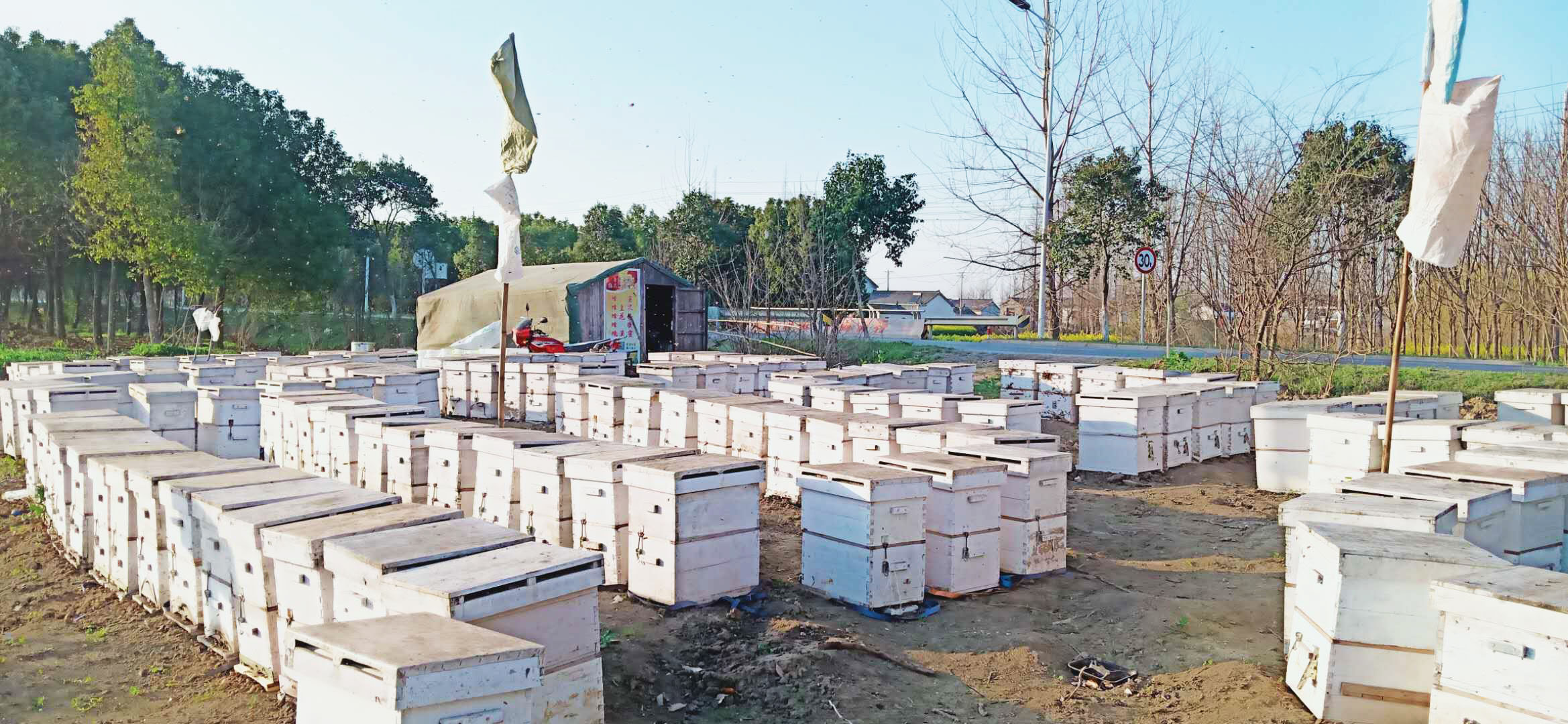 養蜜蜂的蜂箱多少錢一個（蜜蜂蜂箱價格及選購要求）