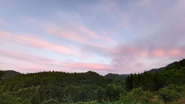 蜜蜂什么時候取蜜最好？取蜜的3種常用方法，每種方法的利與弊