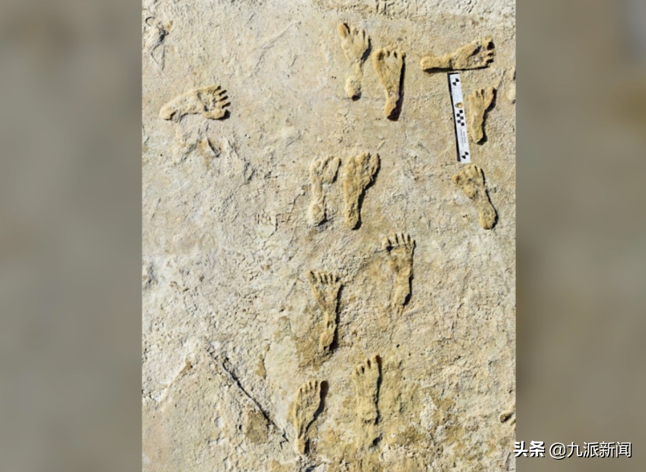 北美發(fā)現(xiàn)最古老人類腳印 距今約23000年 或來(lái)自最后一個(gè)冰河時(shí)代