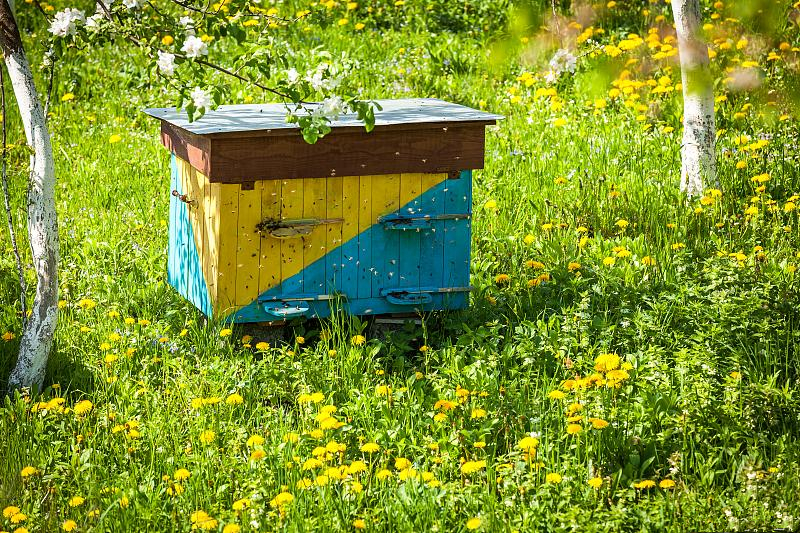 高加索蜂蜂箱濕度多少合適（蜂群巢內濕度的判斷依據及調控措施）