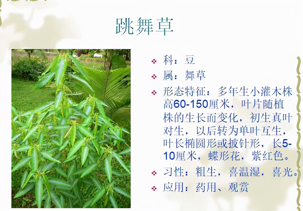 植物品種名稱大全（最常見的800種景觀觀花植物，附植物習(xí)性種植）